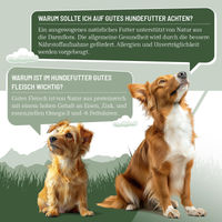 Produktbild von REAVET Hundefutter Nass Ente mit Amaranth Stückchen in Sauce getreidefrei Adult 6x400g - 6 x 400 g