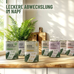 REAVET Hundefutter Nass Fasan für Adult 6x400g Getreidefrei Stückchen in Sauce - 6 x 400 g – Bild 1 von 4