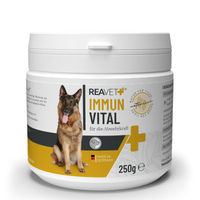 Produktbild von REAVET Immun Vital Multivitamin-Pulver für Hunde zur Immunstärkung 250g - 250 g