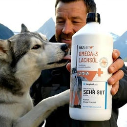 ReaVET Lachsöl für Hunde 2 x 1 Liter hochdosiertes Fischöl mit Omega 3 und 6 zur Unterstützung von Haut, Fell und Gelenken - 2 x 1 l – Bild 1 von 7