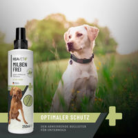 Produktbild von ReaVET Milben Frei Spray für Haustiere aller Größen und Altersstufen 250 ml