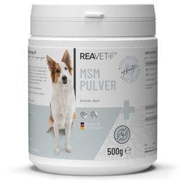 ReaVET MSM Gelenk-Aktiv Pulver für Hunde und Pferde 500g zur Unterstützung von Gelenken, Sehnen, Bändern und Knorpel sowie Haut und Fell - 500 g – Bild 1 von 13