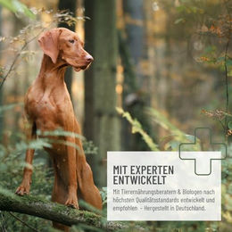 ReaVET Profi Barf Futteröl Lachs 500ml Haut-Fell-Supplement für Hunde - 500 ml – Bild 1 von 6