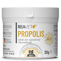 Produktbild von ReaVET Propolis Pulver für Hunde und Katzen 20g zur Unterstützung von Immunsystem sowie Haut und Fell - 20 g