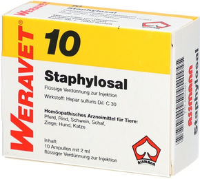ReaVET STAPHYLOSAL 10 Ampullen vet. zur Unterstützung von Immunsystem und Atemwegen – Bild 1 von 2