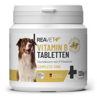 Produktbild von ReaVET Vitamin B Komplex Tabletten für Hunde zur Unterstützung von Haut, Fell und Nervenfunktion 120 Stück