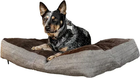 Rechteckiges Hundekissen HFI – Bild 1 von 1
