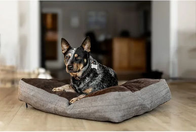Produktbild von Rechteckiges Hundekissen HFI aus Kunstleder