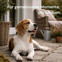 Produktbild von RECOACTIV Gelenk Tonicum Forte Flüssiges Ergänzungsfuttermittel für Hunde mit Grünlippmuschel und Omega-3 280 ml