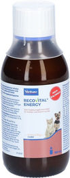 RECOVET RECOVITAL ENERGY Diätfutter für kleine Hunde 180g – Bild 1 von 3