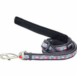 Produktbild von Red Dingo Führleine aus Nylon in Flamingo Grau 12 mm x 1,8 m - 1,8 m