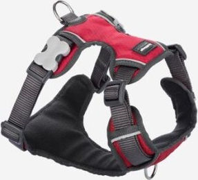 Red Dingo Hundegeschirr gepolstert Mini XS Rot – Bild 1 von 2
