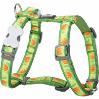 Produktbild von Red Dingo Hundegeschirr RD aus Nylon Tropical Green 15 mm x 36-54 cm