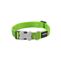 Produktbild von Red Dingo Hundehalsband aus Nylon in Grün Größe S