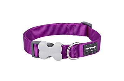 Red Dingo Hundehalsband aus Nylon in Lila Grösse S – Bild 1 von 1