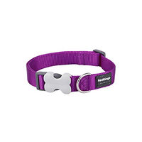 Produktbild von Red Dingo Hundehalsband aus Nylon in Lila Grösse S