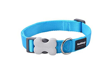 Produktbild von Red Dingo Hundehalsband aus Nylon in Türkis Größe XS