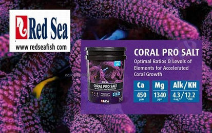 Red Sea Coral Pro Meersalz für Meerwasser 7 kg - 7 kg – Bild 1 von 5