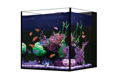 Red Sea Desktop Aquarium Set Cube Meerwasser Glas – Bild 1 von 2