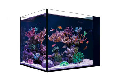 Red Sea Peninsula Desktop Meerwasser Aquarium Set aus Glas – Bild 1 von 2