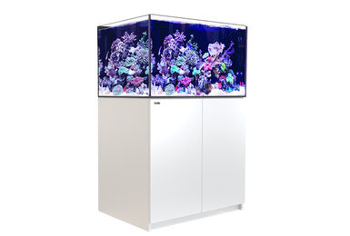 Red Sea REEFER 300 XL G2 Meerwasseraquarium mit Unterschrank in Weiß – Bild 1 von 2