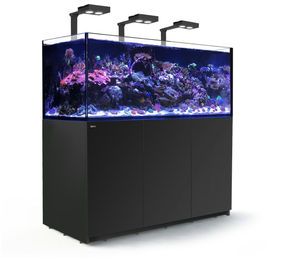 Red Sea REEFER Deluxe XXL 625 Complete Meerwasser-Aquarium mit Unterschrank schwarz – Bild 1 von 2