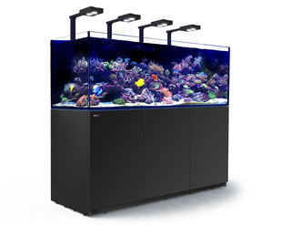 Red Sea REEFER Deluxe XXL 750 Complete Meerwasser-Aquarium mit Unterschrank schwarz – Bild 1 von 2