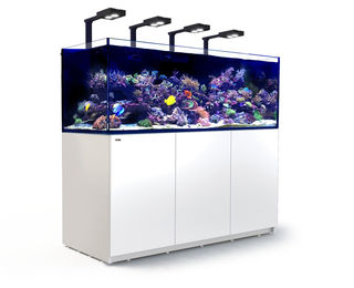 Red Sea REEFER Deluxe XXL 750 Complete Meerwasser-Aquarium mit Unterschrank weiß – Bild 1 von 2