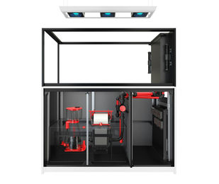 Produktbild von Red Sea REEFER MAX Peninsula S-700 G2+ Meerwasser-Aquariumsystem Weiß