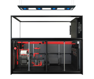 Produktbild von Red Sea REEFER MAX Peninsula S-950 G2+ Meerwasser-Aquarium-System Schwarz