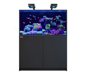 Red Sea REEFER MAX S-550 G2+ Meerwasser-Aquarium-System Schwarz – Bild 1 von 3
