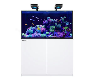 Produktbild von Red Sea REEFER MAX S-550 G2+ Meerwasser Aquarium System Weiß