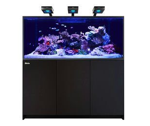 Red Sea REEFER MAX S-700 G2+ Meerwasser Aquarium System Schwarz aus Glas – Bild 1 von 3