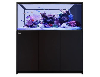 Red Sea REEFER Peninsula S-700 G2+ Deluxe Aquarium System mit ReefLED 160 Schwarz – Bild 1 von 1