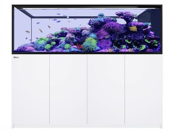 Red Sea REEFER Peninsula S-950 G2+ Deluxe System Aquarium mit ReefLED 160 Weiss – Bild 1 von 2