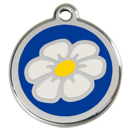 Produktbild von RedDingo Hundemarke Edelstahl mit individueller Gravur Daisy Blau Größe M