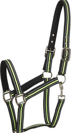 Produktbild von Reflektierendes Pony Halfter Kentucky Horsewear HorseGuard aus Neopren Schwarz