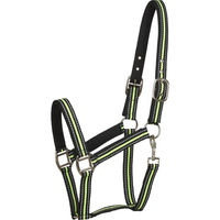 Produktbild von Reflektierendes Pony Halfter Kentucky Horsewear HorseGuard aus Neopren Schwarz
