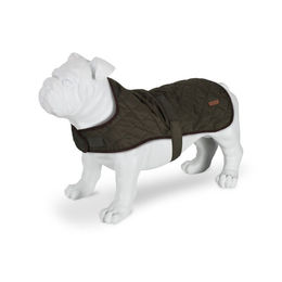 Regatta Hundemantel Odie Winter wasserabweisend Polyester Größe L – Bild 1 von 2