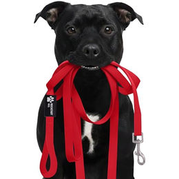 Reichstadt Biothane Hundeleine wasserabweisend Rot 5m – Bild 1 von 13