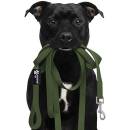 Reichstadt Pets Biothane Hundeleine wasserabweisend Grün 500cm – Bild 1 von 13