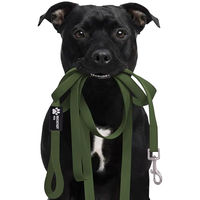 Produktbild von Reichstadt Pets Biothane Hundeleine wasserabweisend Grün 500cm