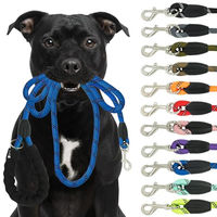 Produktbild von Reichstadt Pets Hundeleine aus Nylon mit ergonomischem EVA-Griff Blau 1,5m