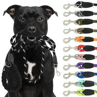 Produktbild von Reichstadt Pets Hundeleine aus Nylon mit ergonomischem EVA-Griff in Schwarz 1,5m