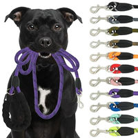 Produktbild von Reichstadt Pets Hundeleine aus Nylon mit EVA-Griff in Lila 1,5m