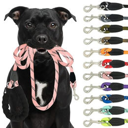 Reichstadt Pets Hundeleine aus Nylon mit EVA-Griff in Rosa 1,5m – Bild 1 von 13