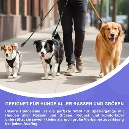 Reichstadt Pets Hundeleine aus Nylon mit EVA-Griff reflektierend Orange 1,5m – Bild 1 von 6