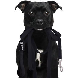 Reichstadt Pets RS Pets Hundeleine aus Biothane wasserabweisend Schwarz 500cm – Bild 1 von 11