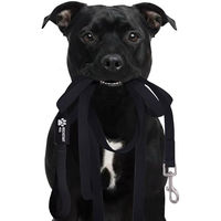 Produktbild von Reichstadt Pets RS Pets Hundeleine aus Biothane wasserabweisend Schwarz 500cm