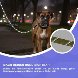 Reichstadt Pets RS Pets Hundeleine aus Nylon mit ergonomischem EVA-Griff in Grün 1,5m – Bild 1 von 9